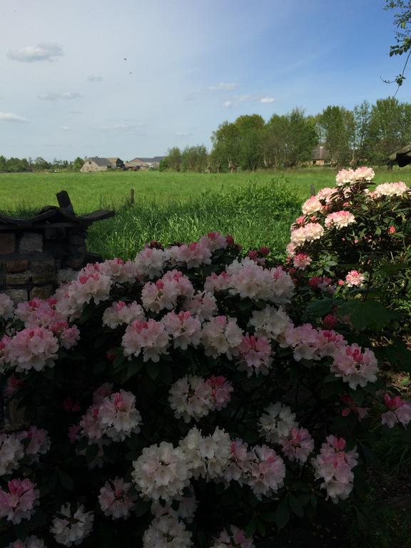 B&B De Lotus Hoevelaken Zewnętrze zdjęcie